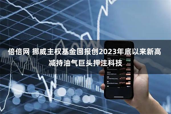 倍倍网 挪威主权基金回报创2023年底以来新高 减持油气巨头押注科技